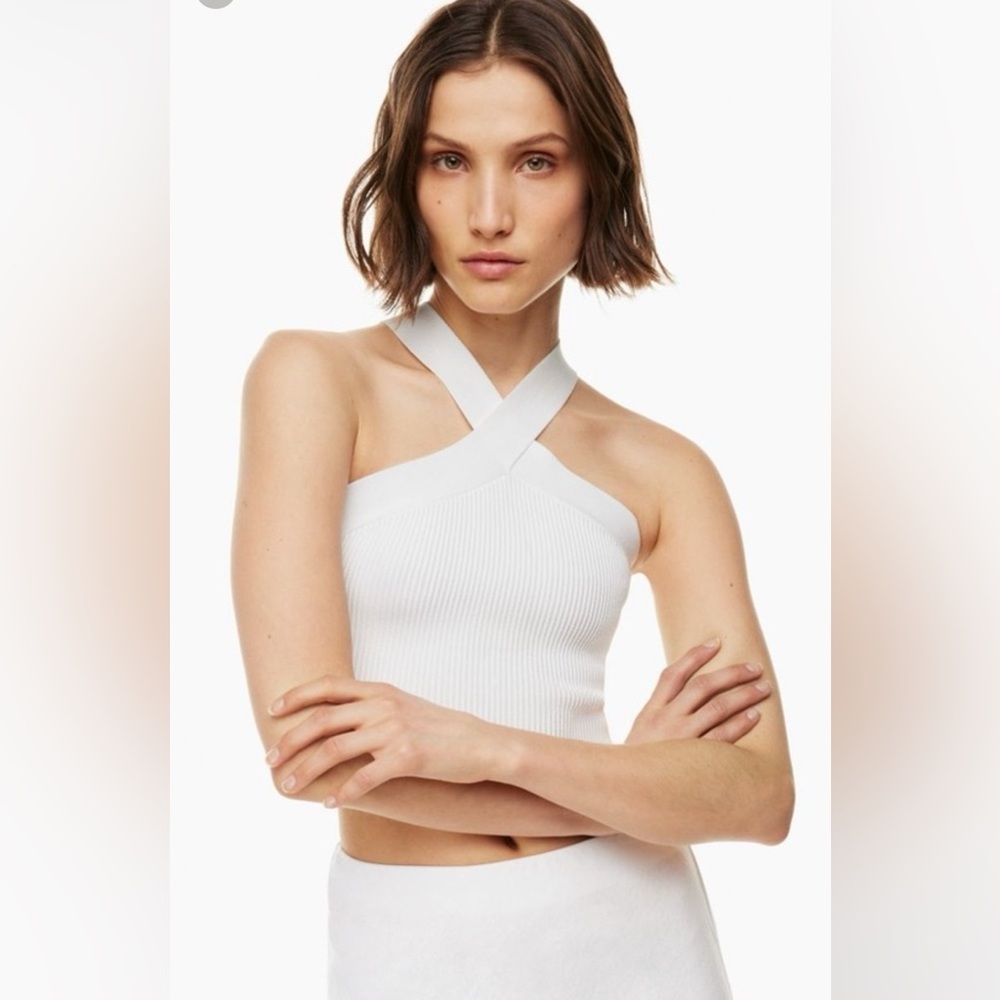 Aritzia Babaton sculpt cross neck crop top